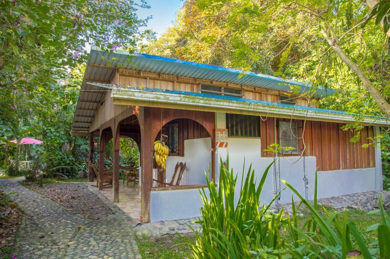 Cabinas Iguana Cahuita Εξωτερικό φωτογραφία