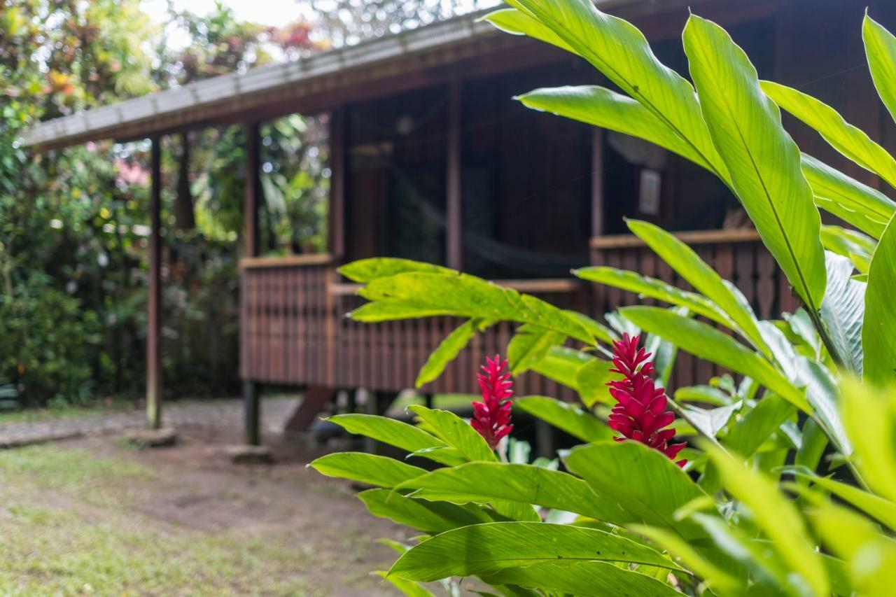Cabinas Iguana Cahuita Εξωτερικό φωτογραφία