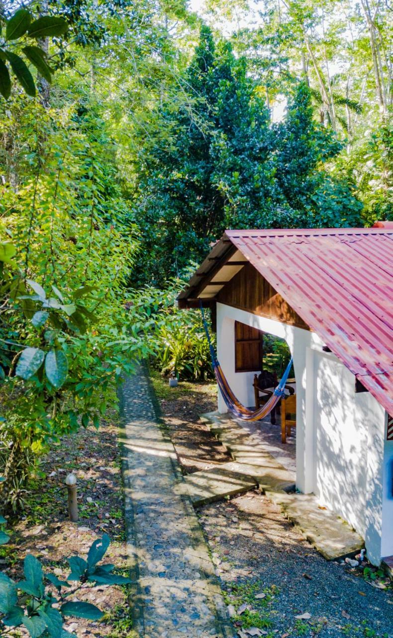 Cabinas Iguana Cahuita Εξωτερικό φωτογραφία
